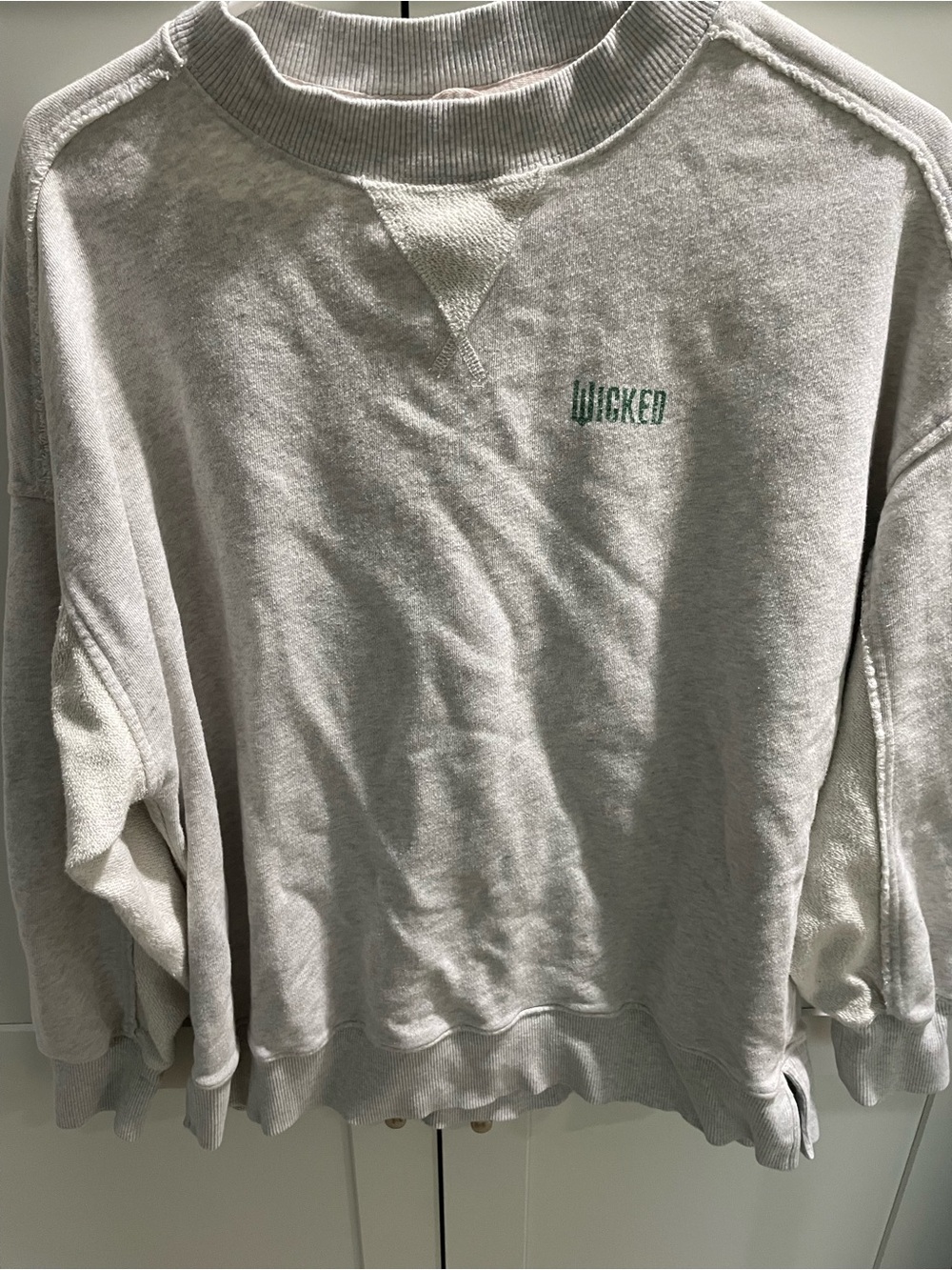 aerie Light Gray Crewneck Sweatshirt with Green Accent